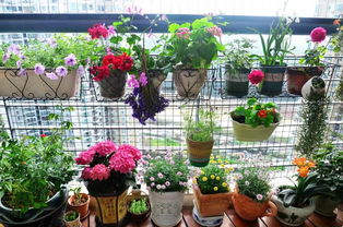 尿素在養花中起什么作用