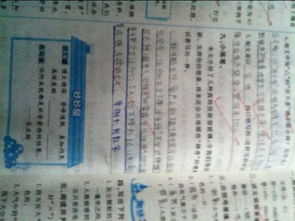 新型養(yǎng)花玻璃簡(jiǎn)介作文