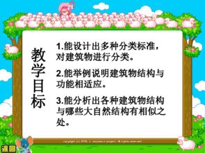 六級下冊冀教版養花課件