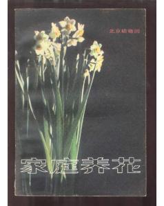 家庭養花的故事