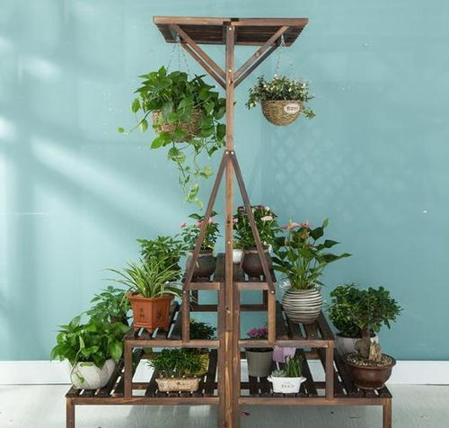 養花的陶瓷容器