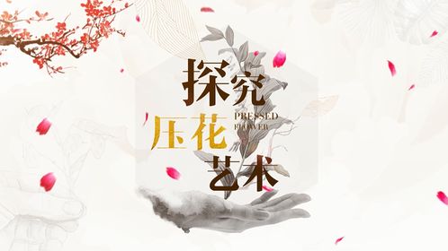2021智慧樹(shù)大學(xué)生創(chuàng  )新創(chuàng  )業(yè)課筆記,2021智慧樹(shù)大學(xué)生創(chuàng  )新創(chuàng  )業(yè)課答案,智慧樹(shù)大學(xué)生創(chuàng  )新創(chuàng  )業(yè)答案2021