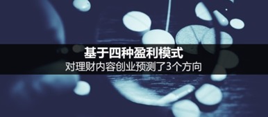 創(chuàng  )新創(chuàng  )業(yè)財務(wù)分析盈利模式