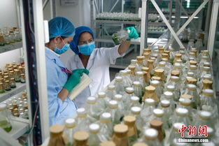 新疆生物醫藥創(chuàng  )新創(chuàng  )業(yè)園孵化樓