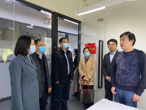 課題,調(diào)研報告,創(chuàng)新,創(chuàng)業(yè)