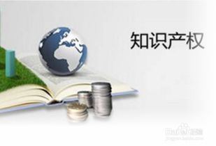 創(chuàng  )新創(chuàng  )業(yè)中微觀(guān)環(huán)境包括什么意思