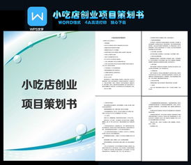 酸辣粉創(chuàng  )新創(chuàng  )業(yè)項目計劃書(shū)