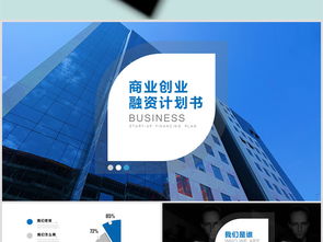 大學(xué)生創(chuàng  )新創(chuàng  )業(yè)融資計劃書(shū)模板范文