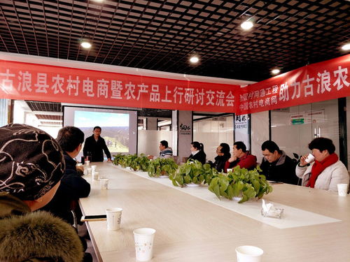 農產(chǎn)品創(chuàng  )新創(chuàng  )業(yè)計劃書(shū),大學(xué)生創(chuàng  )新創(chuàng  )業(yè)農產(chǎn)品,農產(chǎn)品創(chuàng  )新創(chuàng  )業(yè)大賽作品