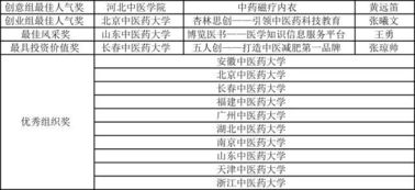 香囊,中藥,策劃書(shū),創(chuàng  )新