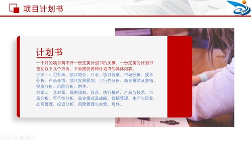 計劃書(shū),附錄,創(chuàng  )業(yè)項目,創(chuàng  )新