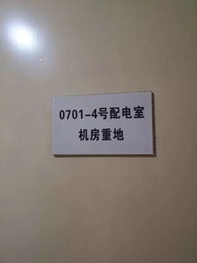問(wèn)卷調查,實(shí)習報告,創(chuàng  )新,創(chuàng  )業(yè)