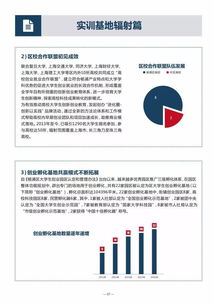 創(chuàng  )新創(chuàng  )業(yè)實(shí)訓報告總結,創(chuàng  )新創(chuàng  )業(yè)模擬實(shí)訓報告,創(chuàng  )新創(chuàng  )業(yè)納稅籌劃實(shí)訓報告