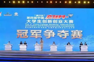 創(chuàng  )業(yè)項目,組成員,創(chuàng  )新,大學(xué)生