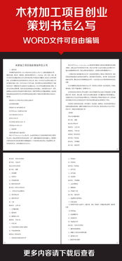 膠輪,策劃書(shū),創(chuàng  )新,創(chuàng  )業(yè)
