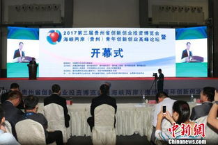 貴州省創(chuàng  )新創(chuàng  )業(yè)投資博覽會(huì )