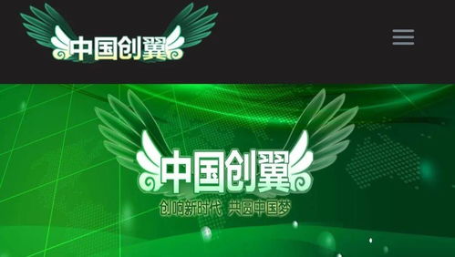 創(chuàng  )業(yè)創(chuàng  )新訓練計劃大賽
