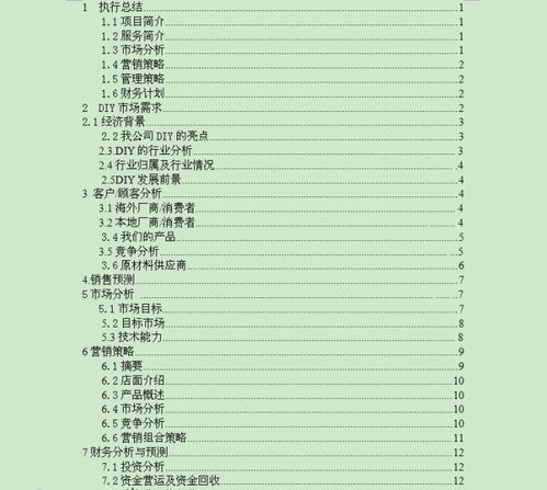 diy的創(chuàng  )新創(chuàng  )業(yè)計劃書(shū)