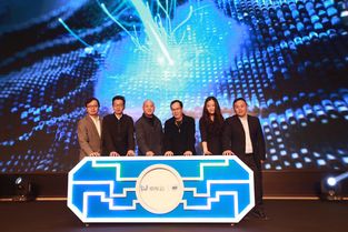 財稅智能應用創(chuàng  )新創(chuàng  )業(yè)大賽題庫,財稅智能應用創(chuàng  )新創(chuàng  )業(yè)大賽梗含金量,財稅智能應用創(chuàng  )新創(chuàng  )業(yè)大賽稅務(wù)專(zhuān)y