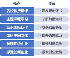 書(shū)寫(xiě),創(chuàng  )業(yè)計劃,創(chuàng  )新