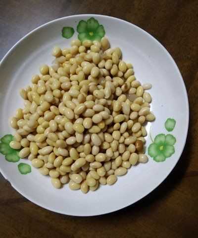 黃豆發(fā)酵長(cháng)白毛是發(fā)好了,黃豆醬捂霉長(cháng)出白色的毛正常嗎圖5