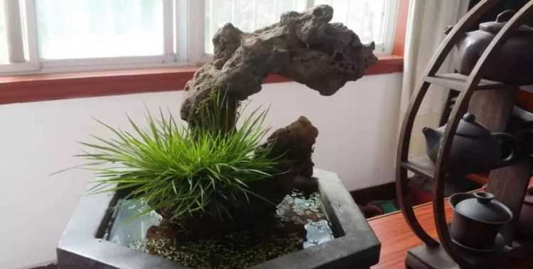 左邊一個提手旁，右邊一個昌，怎么讀怎么念