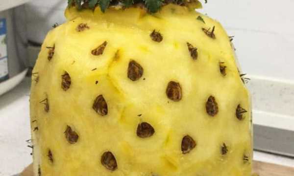 手撕菠蘿要泡鹽水,波蘿與鳳梨有什處別稱(chēng)圖5