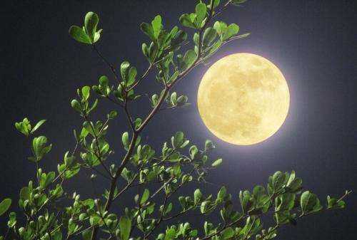 為什么月亮?xí)l(fā)光,月亮為什么會發(fā)光原理圖圖3