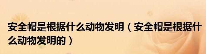 人類從什么動(dòng)物身上得到啟示發(fā)明了什么寫(xiě)兩個(gè)