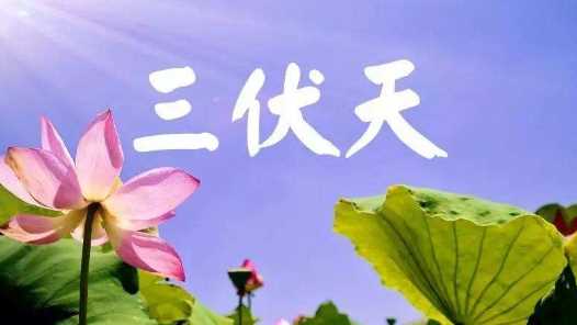 2020伏天多長(zhǎng),三伏天有哪些防暑小常識(shí)圖6