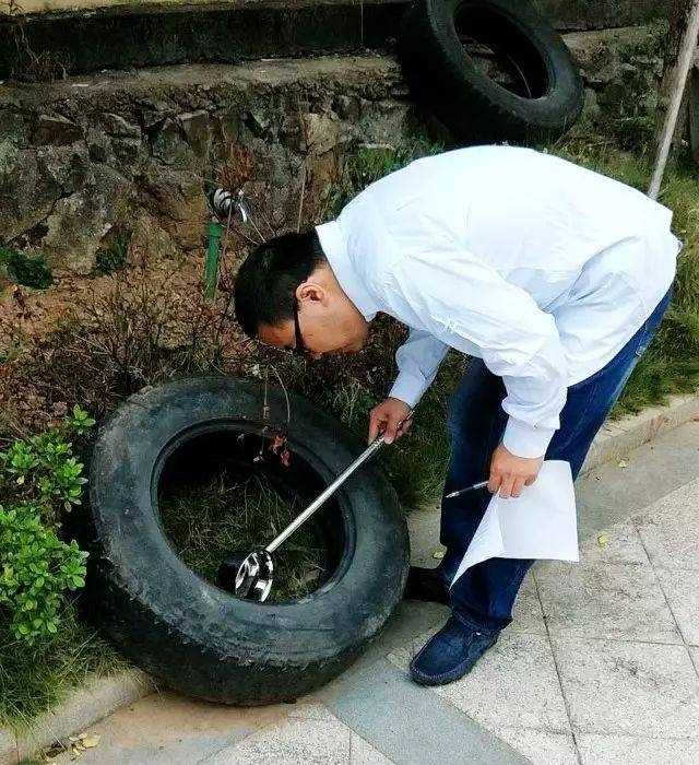 花蚊子怎么消滅掉（必須學(xué)會四招輕松滅絕花蚊子）