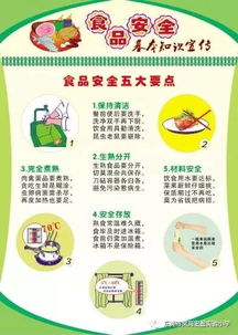 實(shí)驗小學(xué)安全知識測試