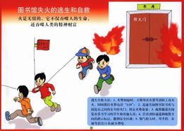 消防安全知識征文100
