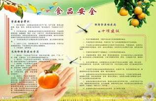 關(guān)于食品安全教育知識感受作文素材