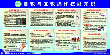 安全自救和互救知識(shí)