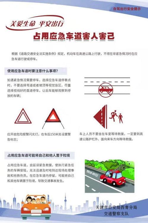 交通安全知識資料文字