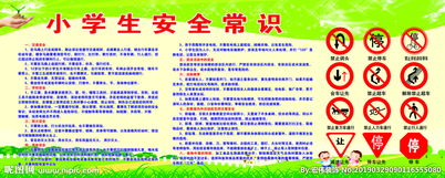 小學(xué)生安全知識調查員
