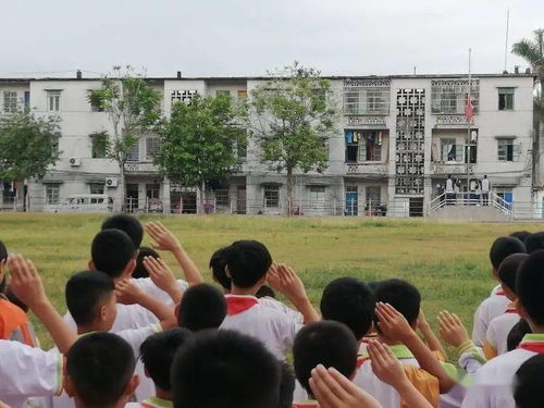 溺水安全知識國旗下講話(huà)