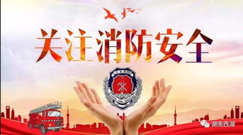 《消防安全知識》觀(guān)后