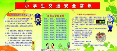 小學(xué)生基礎交通安全知識