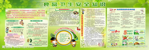 小學(xué)春季食品衛生安全知識培訓