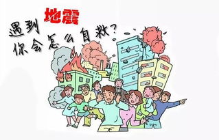 地震災害安全教育知識