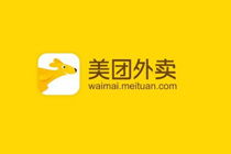 騎手安全知識答案