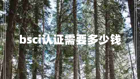 bsci認證需要多少錢(qián)