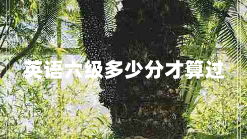 英語(yǔ)六級多少分才算過(guò)