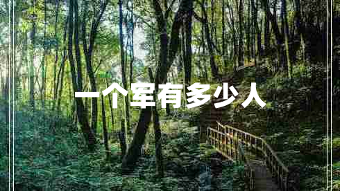 一個軍有多少人