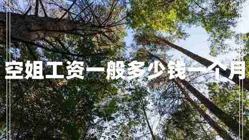 空姐工資一般多少錢(qián)一個(gè)月