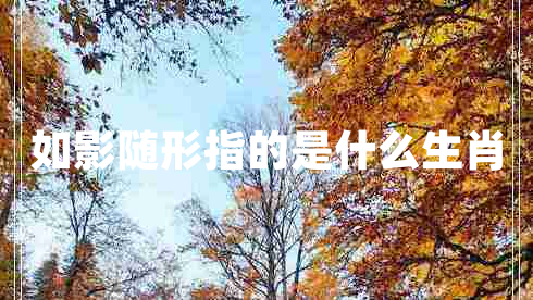 如影隨形指的是什么生肖