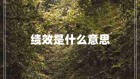 績(jì)效是什么意思