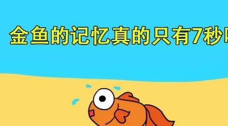 魚(yú)的記憶真的只有7秒嗎